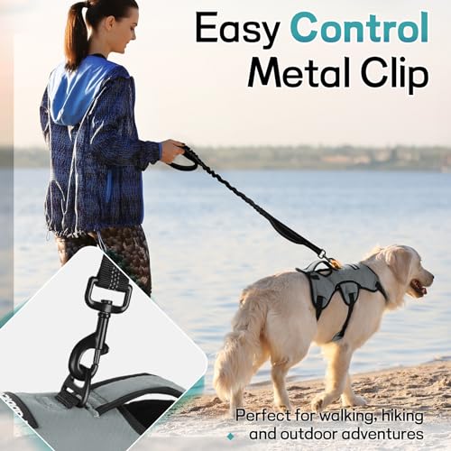 rabbitgoo Escape Proof Dog Harness, Soft Padded Full Body Pet Harness, Reflective Adjustable No Pull Vest with Lift Handle and Leash Clip for Large Dogs Walking Hiking Training, M, Grey - color: Grey, size: Medium (Pack of 1)