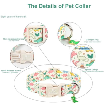 Dinosaur Dog Collar Cute Boy Dog Collars for Puppy Small Dogs - Lightweight Adjustable Cartoon Design Male Female Dogs Everyday Collar with Safety Buckle XS - color: Cute Dino, size: XS