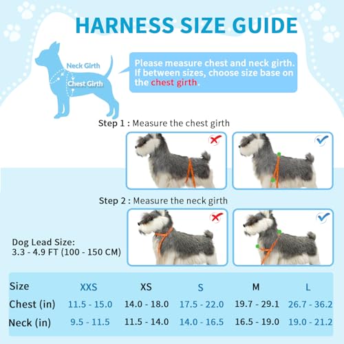 Lukovee No Pull Dog Harness and Leash Set, Soft Padded Small Dog Harness, Neck & Chest Adjustable Reflective Vest Puppy Harness with 4ft Lightweight Anti-Twist Dog Leash for Small Dogs (LBL, XS) - color: Light Blue, size: XS ( Chest 14'' ~ 18'')