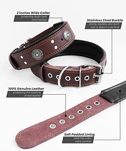 Leather Dog Collar, 2 inches Wide Heavy Duty Genuine Leather Collars, Handmade, Soft, and Luxury, Eye-catching Best Choice for Large and Medium Breed Dogs, Brown 21-25 in - color: Brown, size: 21-25 in