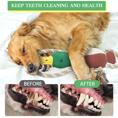 Letsmeet Lesmeet Upgraded Duck Dog Toys Puppy Toys with Crinkle Paper and Squeaker, Interactive Tug of War Dog Toy for Small, Medium, and Large Breeds - color: Brown