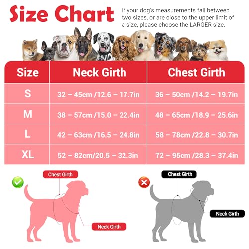 Funfox Dog Harness No Pull, Adjustable Pet Vest Harness, Super Soft Material with Vertical Handle Easy Control, Reflective Night Walking, 2 Leash Clips for Small Sized Dogs, Red, S - color: Red, size: Small