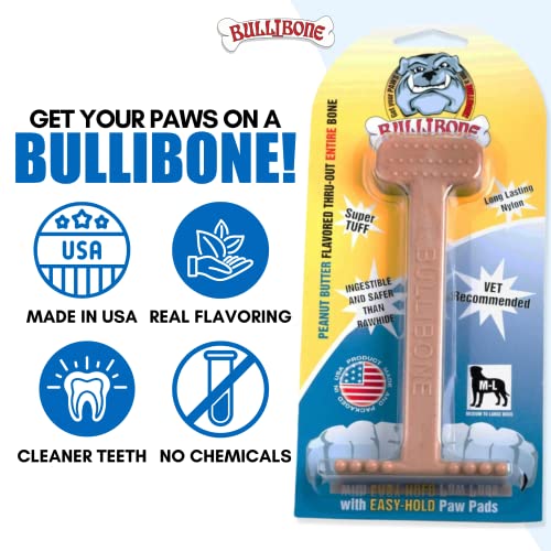 Bullibone Nylon Dog Chew Toy for Aggressive Chewers - Dental Hygiene Bone with Peanut Butter Flavor, Durable Tough Chew Toys for Extra Large Dogs, Indestructible Dog Bone - 2 Pack - size: XL