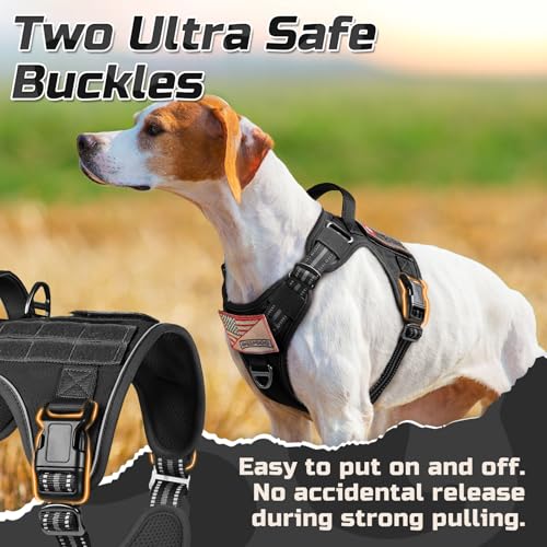 rabbitgoo Tactical Dog Harness Medium Sized Dog, No Pull Military Service Vest with Handle & Molle, Easy Control for Training Walking, Adjustable Reflective Straps, Black, M - color: Black, size: Medium
