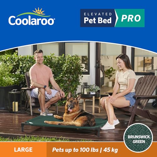 Coolaroo Pro Elevated Dog Bed - Low-Profile Access, Moisture-Resistant Cover, Breathable Fabric & Tool-Free Setup, Brunswick Green, Large - color: Brunswick Green, size: Large