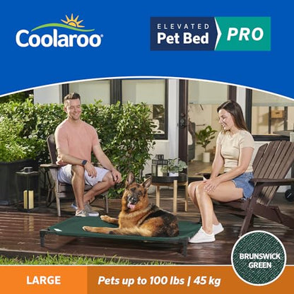 Coolaroo Pro Elevated Dog Bed - Low-Profile Access, Moisture-Resistant Cover, Breathable Fabric & Tool-Free Setup, Brunswick Green, Large - color: Brunswick Green, size: Large