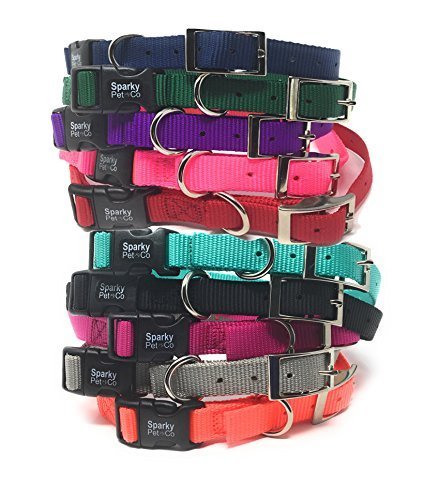 Sparky Pet Co - ECollar Replacement Strap - Easy Release Double Buckle Dog Collar - Rugged Nylon - Adjustable - D Ring - Quick Release Metal Clasp - for Invisible Fence Systems - 1" x 28" - Teal - color: Teal, size: 1" Wide