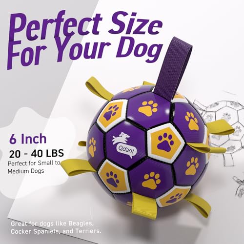 QDAN Dog Ropes Toys, Soccer Ball with Straps, Dogs Water Toy, Durable Dog Balls for Small Medium Breed（6 Inch） - color: Purple Yellow, size: 6 Inch