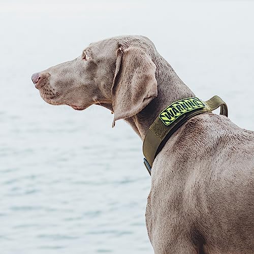 OneTigris Tough Dog Collars, Tactical Dog Collar with Handle, Milltary Adjustable Dog Collar with Heavy Duty Metal Buckle for Training (Green, S) - color: Green, size: S