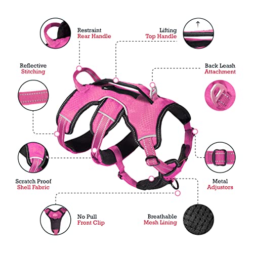 Tuff Pupper Escape Proof No Escape Dog Harness | 5 Point Adjustable Fit Harness for Dogs | Padded Dog Harnesses | Handle Dog Lift Harnesses - color: Hot Pink, size: Medium