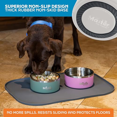 Master Pet Supply Stainless Steel Dog Bowls - 32 oz, Heavy Duty - Bone White, Double Wall Extra-Thick Insulated, Non-Slip Pet Water Bowl for Dogs, Cats & Pets, Anti Rust Metal, Dish Washer Safe - color: Bone White, size: 4 Cups (32 oz)