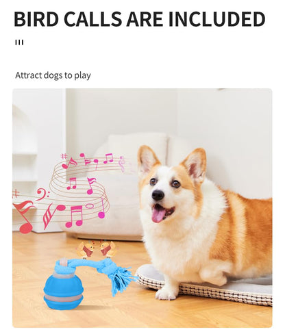 Interactive Dog Toys Dog Ball,Automatic Rolling and Bouncing Moving Dog Toy,Squeaky Rolling Balls with Flashing Light,USB Rechargeable Chew Toys for Puppy Small Dogs, Pet Ball to Keep Them Busy - color: Blue