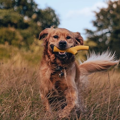 Beco Dog Toy - Natural Rubber Super Stick, Fetch Chew Toy for Dogs - Orange - color: Orange