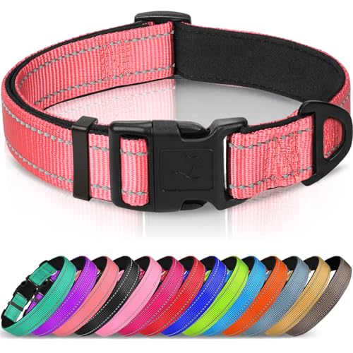 Joytale Reflective Dog Collar, Soft Neoprene Padded, Metal D-Ring, Nylon Pet Collar Adjustable for Puppy and Small Dogs, Neon Pink, XS - color: Neon Pink, size: X-Small (Pack of 1)