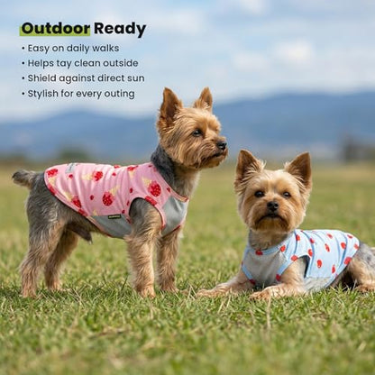 Fitwarm 2 Pack Ice Cream & Cherry UPF 50+ UV Sun Protection Dog Shirt, Lightweight Cooling Vest, Quick Dry Summer Clothes for Small Dogs Girl, Pet Outfit, Pink, Light Sky Blue, Medium - color: Ice Cream & Cherry, size: Medium