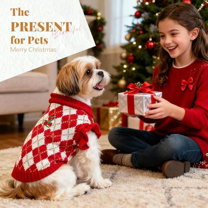 BAEJMJK Cute Cherry Small Dog Sweater Soft Girl Dog Clothes Turtleneck Warm Pet Puppy Knitted Pullover Princess Dogs Cats Outfits(Red Cherry A,X-Large) - color: Red Cherry A, size: X-Large
