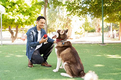 Snug Rubber Dog Balls for Small and Medium Dogs - Tennis Ball Size - Virtually Indestructible (3 Pack - Classic) - color: Classic