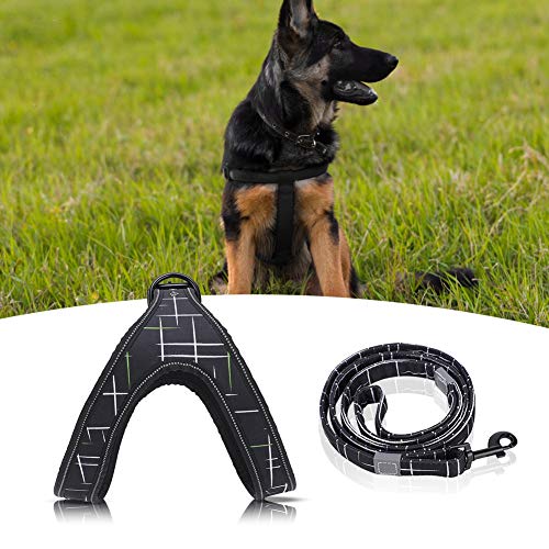 Reflective Dog Harness & Leash Set | Protective Pet Traction Suit for Night Visibility | Adjustable Dog Vest for Small/Medium/Large Breeds | Comfortable Neoprene Lining