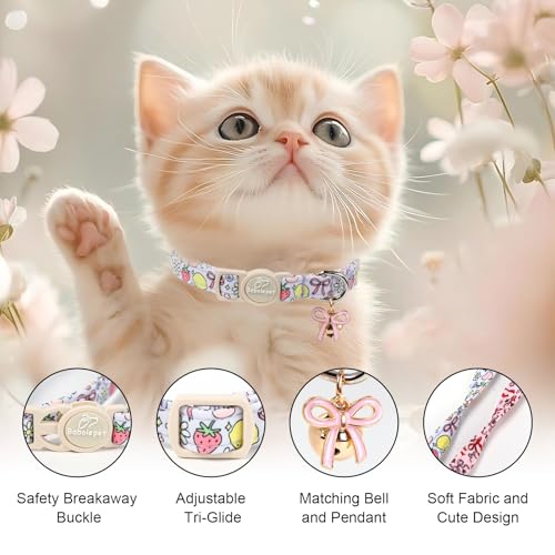 2 Pack Sweet Girly Cat Collars - Elegent Bow Breakaway Cat Collar with Bell & Matching Pendant, Adjustable Spring Summer Pink Purple Kitten Collars for Girl Cats - color: Fruit Bow