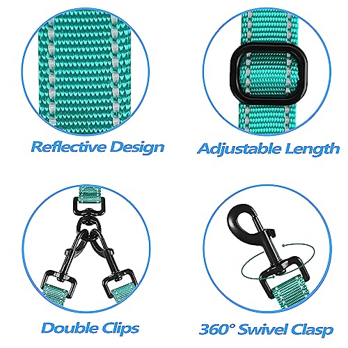 Double Dog Leash, No Tangle Dual Leash, Reflective Walking Training Lead, 4 Comfortable Padded Handles for 2 Dogs with Collapsible Bowl and Waste Bags (Turquoise, Large) - color: Turquoise