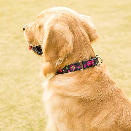 Martingale Collar Dog Collar No Pull Pet Collar Heavy Duty Dog Martingale Collars Silky Soft with Unique Pattern for Small Dog (Small Medium, Black and Sun Flower) - color: Sun Flower - Black, size: Small/Medium: 11"-15.5", 1" Wide