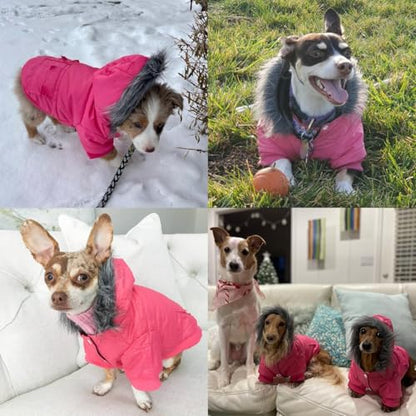 Dog Coat for Small Dogs, Windproof Doggie Puffer Jacket with Leash Hole, Extra Warm Dog Jacket Winter Coat, Pink M - color: Pink, size: Medium