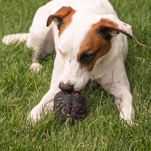 Chew King Supreme Durable Rubber Dog Toy for Aggressive Chewers, Treat-Dispensing Heavy-Duty Chew Toy with Safety Air Vent, Interactive Dog Toy for Training & Enrichment, XL 5.1" x 3.8" - color: F) XL Treater