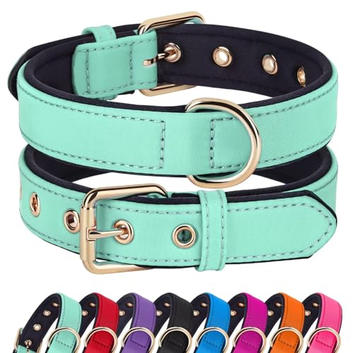 Didog Soft Padded Dog Collars for Small Dogs, Lightweight and Breathable Dog Collar with Metal Buckle for Puppy, Green, S - color: Green, size: S: Fit 9-12" Neck
