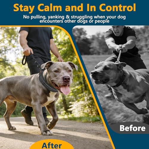 No Pull Martingale Collar for Large Medium Small Dog Pitbull German Shepherd Doberman, Dog Collar Anti Pull with Buckle for Training Walking (Black, M-Neck 13-15", 1" Wide) - size: M-Neck 13-15", 1" Wide