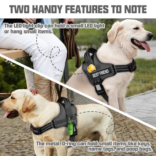 AUROTH Dog Harness and Leash Set, Soft Padded Service Dog Vest with 5.25FT Dog Leash, No Choke, Easy On Pet Vest, Adjustable Reflective No Pull Dog Harness for Large Dogs, Easy Walking and Training - color: Black, size: Large