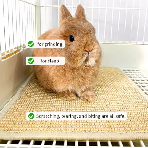 Oncpcare 2PCS Rabbit Scratch Mat Natural Bunny Scratching Pad Claws and Teeth Care Rabbit Mats for Cages Chew Toys for Bunny Pet Cage Bedding for Biting Sleeping Nesting, 16x12 - size: 16"x12"