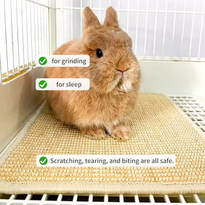 2PCS Rabbit Scratch Mat Natural Bunny Scratching Pad Claws and Teeth Care Rabbit Mats for Cages Chew Toys for Bunny Pet Cage Bedding for Biting Sleeping Nesting, 24x16 - size: 24"x16"