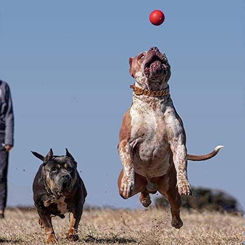 Bully Max Long Lasting Dog Chew Toy for Aggressive Chewers, Large Dogs, Puppies. Pit Bull Toys Guaranteed to Last. Cleans Your Dog's Teeth & Improves Mental Health. - color: Red