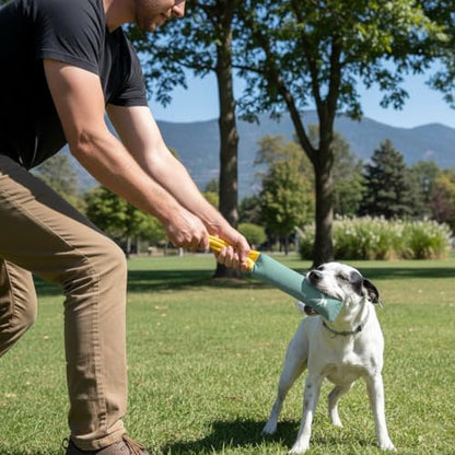 OllyDog Tugger | Durable Dog Tug Toy | Recycled | Tough Dog Bite Pillow | Handle | Interactive Pull Toy | Fetch & Training (Surf) - color: Surf