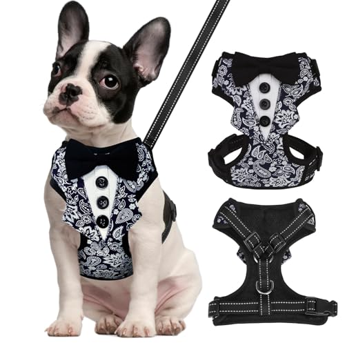 BINGPET Dog Tuxedo Harness for Small Medium Dogs, No Pull Dog Harness and Leash Set,Soft Padded Mesh Step-in Dog Vest Tux Costume for Wedding Outfit Birthday Party Holiday,Pet Formal Wear with Bowtie - color: Navy Blue, size: Small