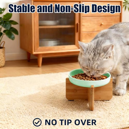 Shallow Elevated Cat Bowls with Bamboo Stand, 6.1 Inch Wide Ceramic Cat Dish Whisker Friendly, 2 Pack Pet Food and Water Plates - color: Mint green 2 pack