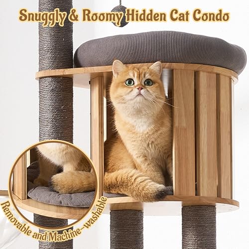 Modern Cat Tree Tower with Scratching Post, 61.5in Tall Cat Tree for Indoor Cats, Multi-Level Solid Wood Cat Furniture with Ladder, Cozy Cat Beds, Cat Condo, Capsule Nest, Dangling Toy, Gray - color: 61.5"Gray