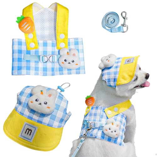 Dog Harness and Leash Set with Hat,No Pull Soft Mesh Pet Harness for Small Dog and Cat,Adjustable Step in Puppy Vest Harness,Cute Pet Clothes,Blue,3 Pcs Set