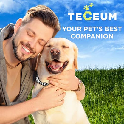 TECEUM Reflective Pet Collar – Black - Service Dog – S – Extra Soft Padding – Basic Nylon Dog Collar – Quick Release Buckle – Fits Small, Medium and Large Dogs, Puppies, Cats - color: Black - Service Dog, size: Small