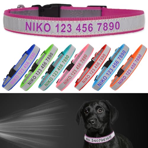 Reflective Personalized Dog Collar - Custom Embroidered Pet Name and Phone Number with Adjustable Nylon Buckle Collars in 5 Sizes XS to XL for Boy and Girl Dogs,Puppy,Rose Red - color: Rose Red