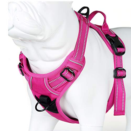JUXZH Truelove No Pull Dog Harness with Easy Control Handle and 2 Leash Attachments,Reflective Adjustable Pet Vest - color: Fuchsia, size: X-small (Pack of 1)