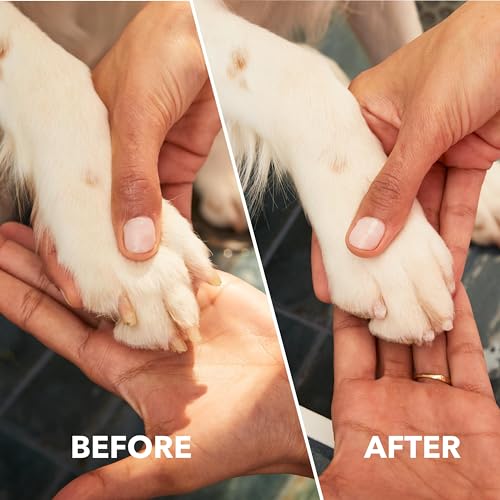 Dremel PawControl 7760-PET Dog Nail Grinder and Trimmer - Cordless & Rechargeable Pet Grooming Tool Kit - Safe for Dogs, Cats, and Small Animals (Amazon Exclusive)