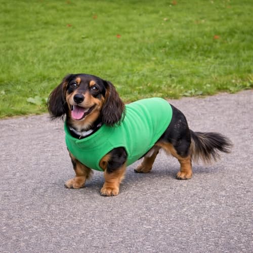 JACKO & CO - Fleece Vest Dog Sweater with Leash Ring - Soft, Warm & Lightweight Pullover Coat for Small & Medium Dogs, Puppies & Cats - Cozy Fall/Winter/Spring Pet Jacket (Green, X-Small 2-4lbs) - color: Green, size: XS (2-4lbs)