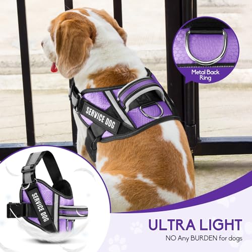 Service Dog Harness and Leash Set, XS, Purple, with 10 Patches, Reflective, for Small Dogs - color: Purple, size: XS