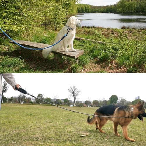 Heavy Duty Rope Dog Leash, 3/4/5/6/7/8/10/12/15/20FT Nylon Pet Leash, Soft Padded Handle Thick Lead Leashes for Large Medium Dogs (Black, 1/2" * 12') - color: black, size: 1/2" * 12'