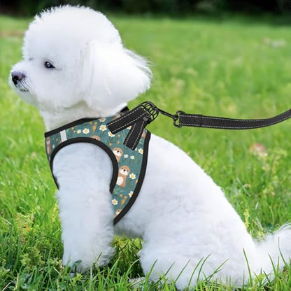Flowers Otters Pet Harness Escape Proof Dog Harness Adjustable Mesh Padded Reflective Dog Vest Harness and Leash Set Medium - color: Style 10, size: Medium