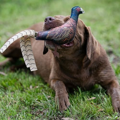 Browning Pheasant Chew Toy Brown (P000015690199) - color: Brown
