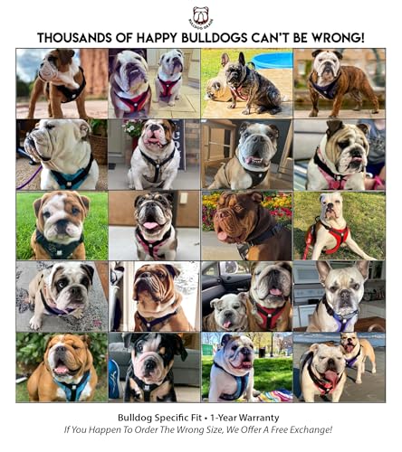 No-Pull Harness for English & French Bulldogs - Adjustable Wide-Chest Fit, Reflective Vest with Control Handle (Frisky Flowers, XL) - color: Frisky Flowers, size: XL