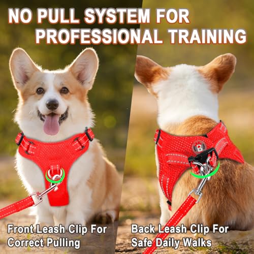 Dog Harness Step in Dog Vest Harness, Reflective Adjustable Puppy No Pull Harness Breathable Soft for Small and Medium Dogs Cats, Red, XXS - color: Red, size: XX-Small