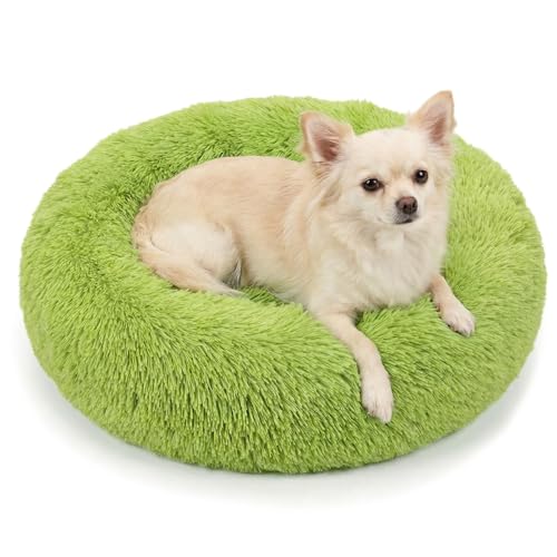 Calming Donut Dogs Beds for Small Dogs Washable,19inch Fluffy Round Puppy Bed for Puppies,Cats & Toy Breeds with Raised Rim,Fits up to 15 lbs Pets,Green - color: Grass Green, size: 19 inches